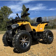   TAO Shark 200 automata, felnőtt méretű quad, 4T, hátsó kerék hajtású, léghűtéses, prémium kategóriás! (NEM MŰSZAKIZTATHATÓ!)